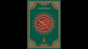 سورة هود: القارئ محمد حسين عامر