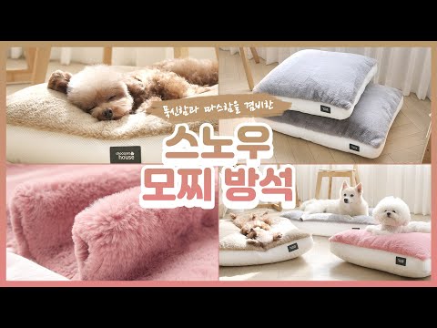 [초코펫하우스] 스노우 모찌 방석