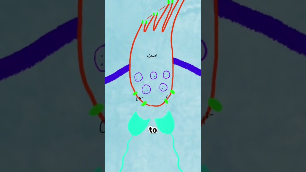 Glutamate would love the public pool