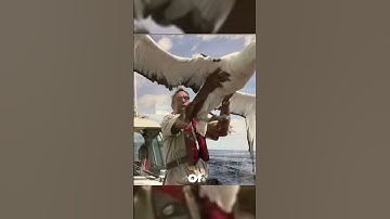 Technologies Will Spark Awe and Wonder in You #rarephotos #shorts