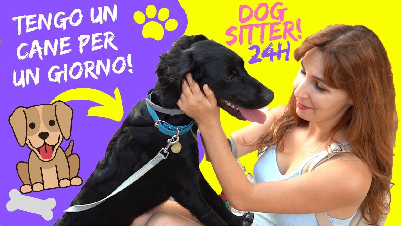 FACCIO LA DOG SITTER PER UN GIORNO! *ho un cane per 24 ore!*