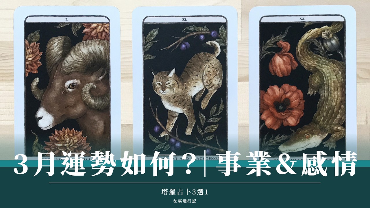 三選一｜ 3月來了！🌳 運勢如何？｜該躺平or該衝刺？👛 我正顯化怎樣的 3月｜無時間限制 Timeless｜塔羅占卜