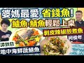 健康好生活 20200921 婆媽最愛"省錢魚"　鱸魚‧鯖魚 輕鬆上桌!