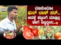 &#39;ಟೊಮೇಟೊ ಬೆಳೆಗಾರ&#39;ನ ನೋವನ್ನ ಕೇಳಿ ಒಮ್ಮೆ... | Tomato Farming | Omkar Sira Gonihalli |Heggadde Studio