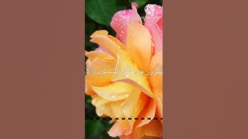 القرآن الكريم اجر لي ولكم انشاءالله انشرو مقاطعي وقناتي وجزاك الله الف خير #ماهر_المعيقلي