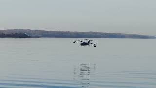 Squire Seaglider Drone Flight Demonstration