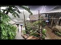Rain in a hilly village with lots of green trees||a refreshing atmosphere for the eyes and mind