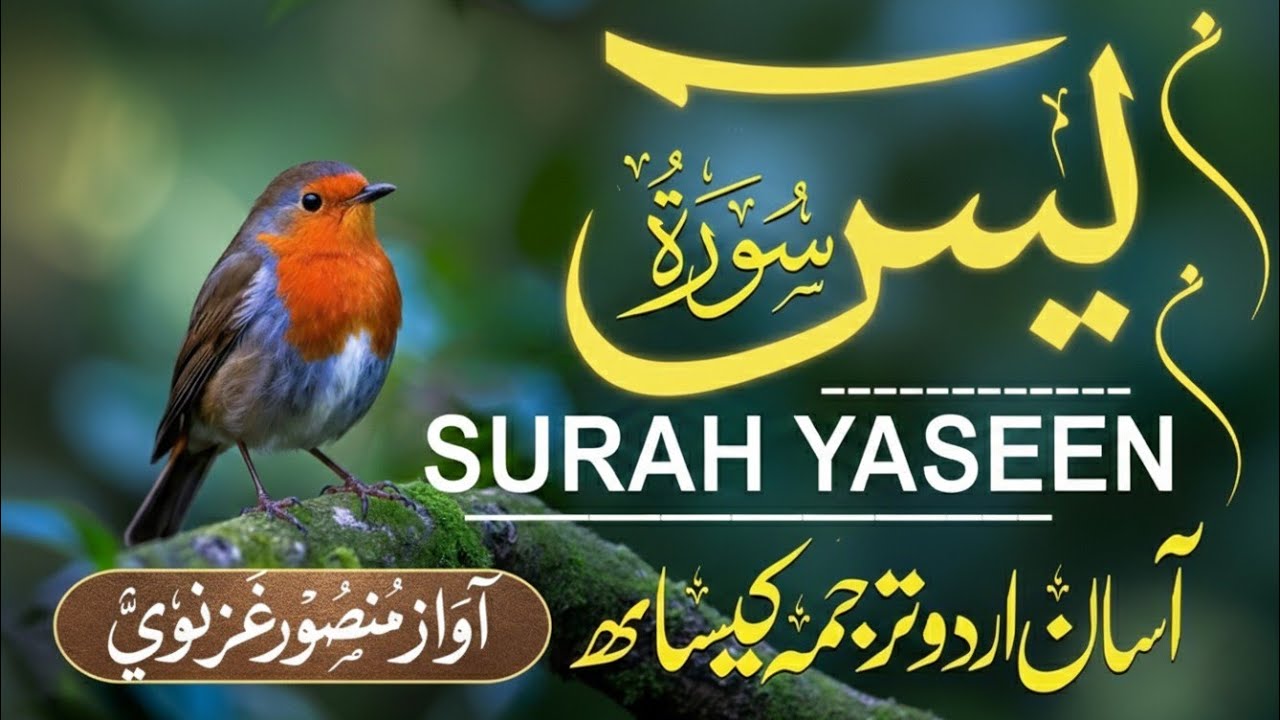 Surah Yasin ( yaseen ) With Urdu Translation |(سورة يس )🌿 Quran with Urdu and Hindi Tarjuma |Epi 321