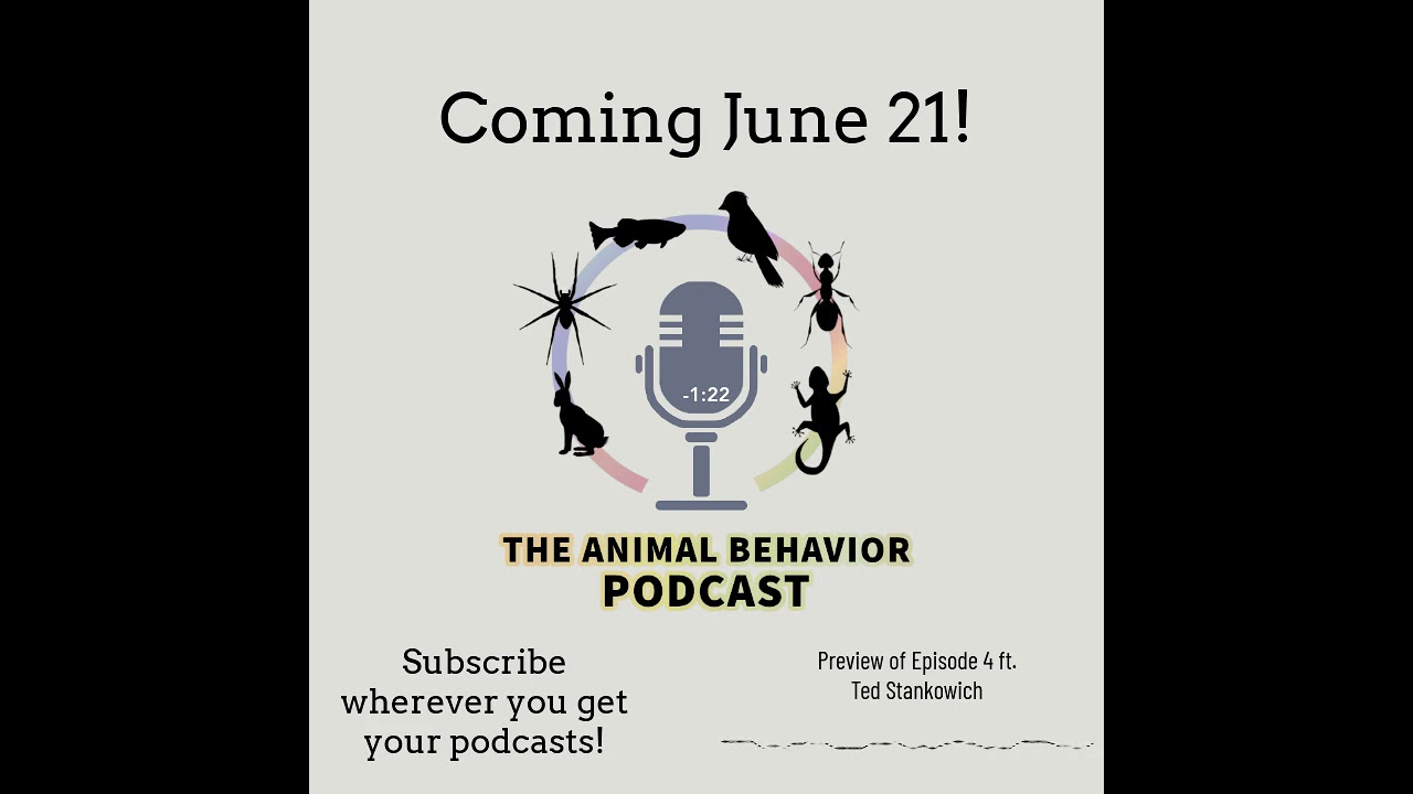 Preview Episode 04: Ted Stankowich