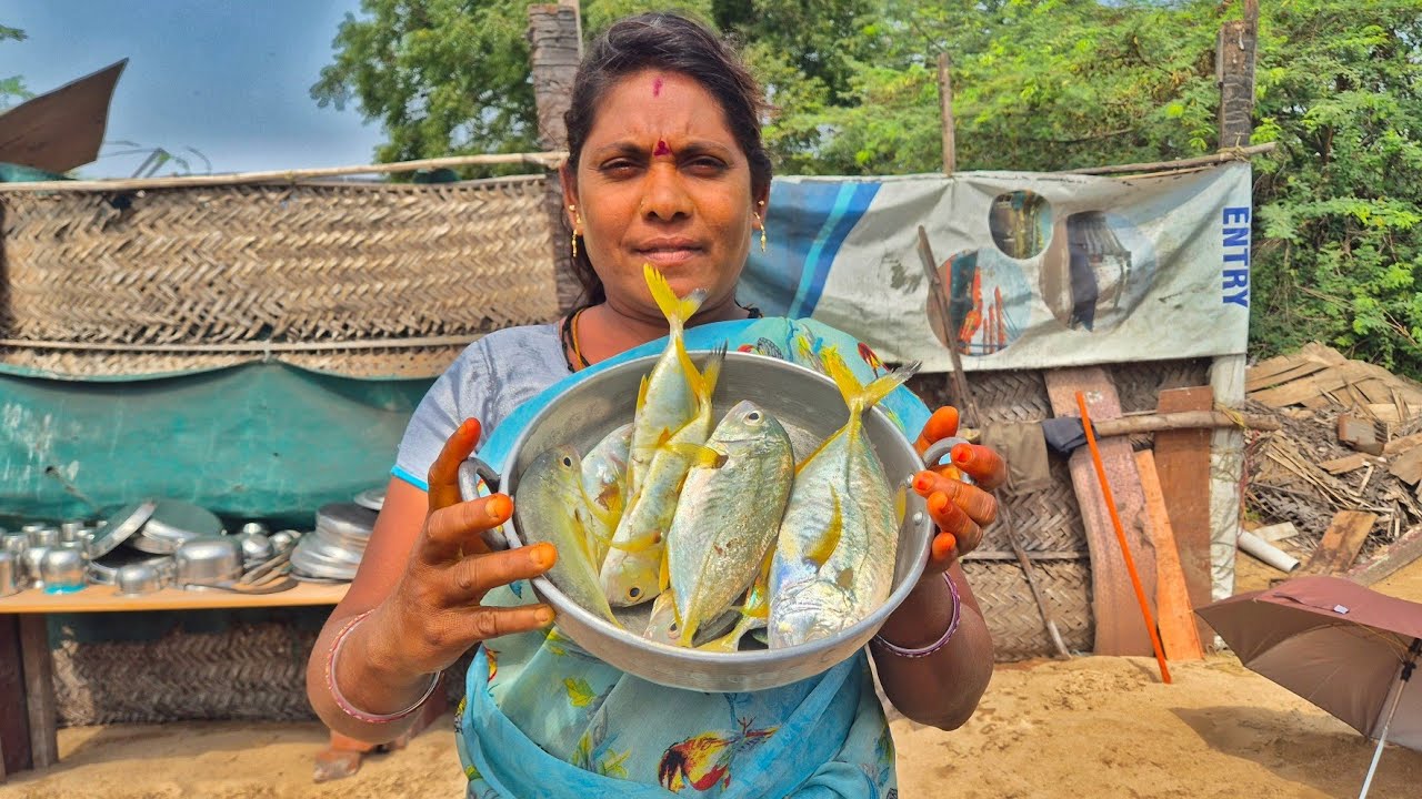 எங்களுக்கு இன்னைக்கு மஞ்ச பாறை கிடைச்சிருக்கு என்ன பண்றேன்னு பாருங்க மக்களே 