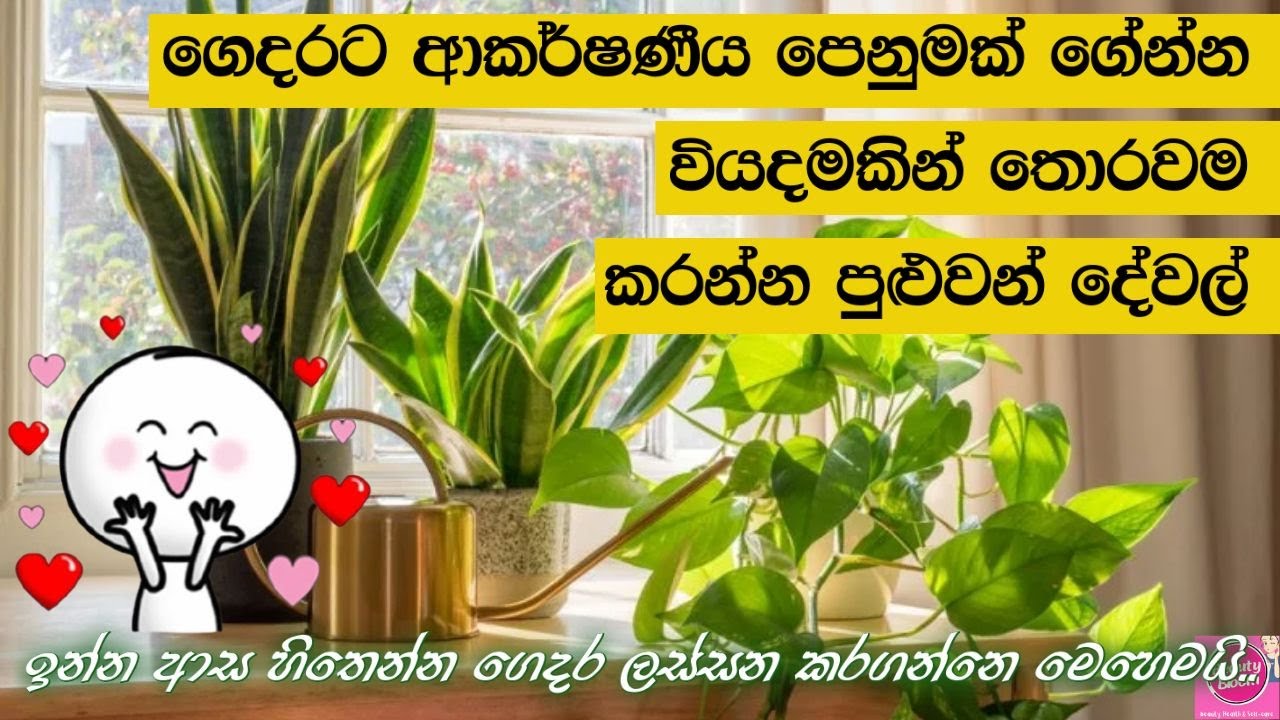 ඉන්න ආස හිතෙන්න ගෙදර ලස්සන කරගන්නෙ මෙහෙමයි.10 Small Things That Can Beautify Your Home
