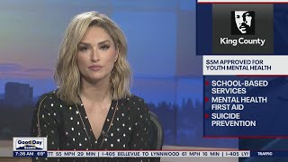 $5M approved for youth mental health | FOX 13 Seattle