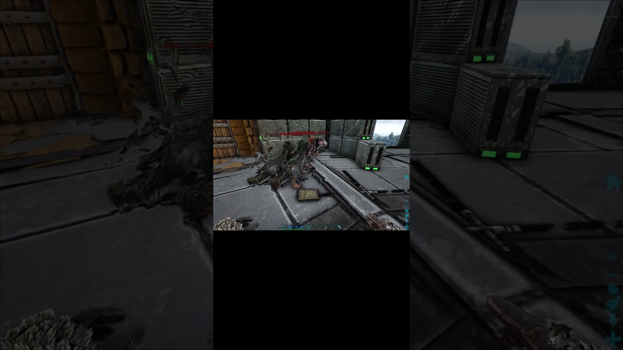 Therizino breeding in 