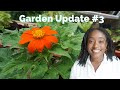 Garden Update | My First Flower Bloomed!