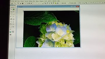 Vending machine program in visual basic