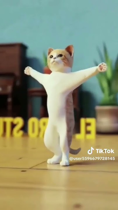 нічого не обичного кот просто танцует - YouTube