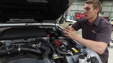 Marks 4WD Toyota LandCruiser Single Cab Catch Can