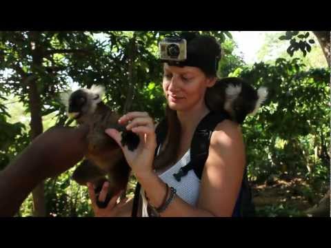 Video: Diere van Madagaskar: unieke fauna van die eiland