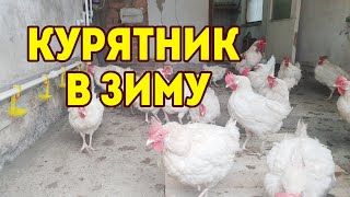 ЗИМНИЙ КУРЯТНИК 2020/ Теперь в КУРЯТНИКЕ будет ТЕПЛО