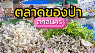 ตลาดของป่า ไข่มดแดง ผักหวานป่าสดๆ จ.สกลนคร