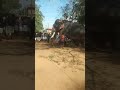 pattambi panthakkal utsavam......