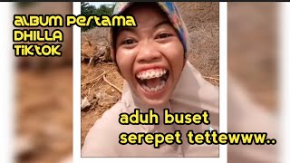 VIRAL LAGU TERBARU DHILLA TIKTOK REMIX SEREPET 2022