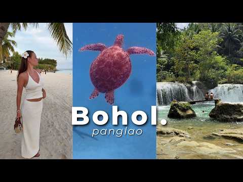 Bohol, Philippines 🇵🇭 | Chocolate Hills, Dolphins, Turtles & Island Life