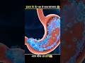 😰You will be shocked to know this secret of the human stomach 😱#montagem #teamcrazyy