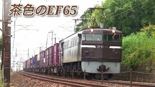 【茶ガマ】EF65 57号機の思い出【蔵出し動画】