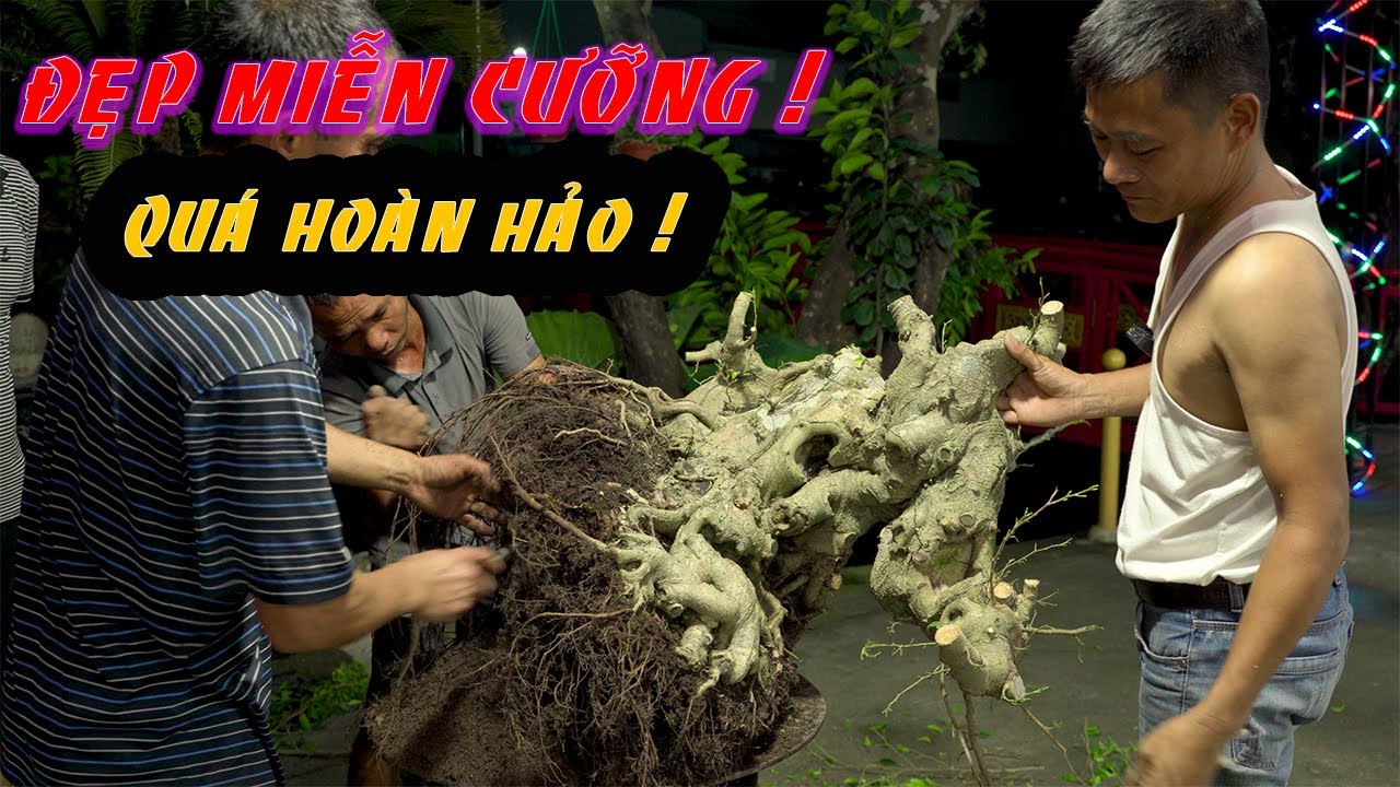 Pha xử lý vật dáng cây sanh cực kỳ thuyết phục của Nam... - youtube