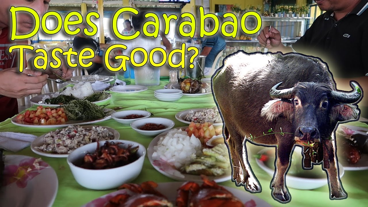 DOES CARABAO/WATER BUFFALO TASTE GOOD? (Dagupan, Philippines) April