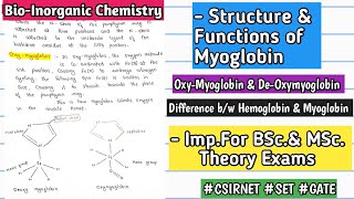 MYOGLOBIN - Structure & Functions |Difference B/W Hemoglobin & Myoglobin  #bscnotes #mscnotes