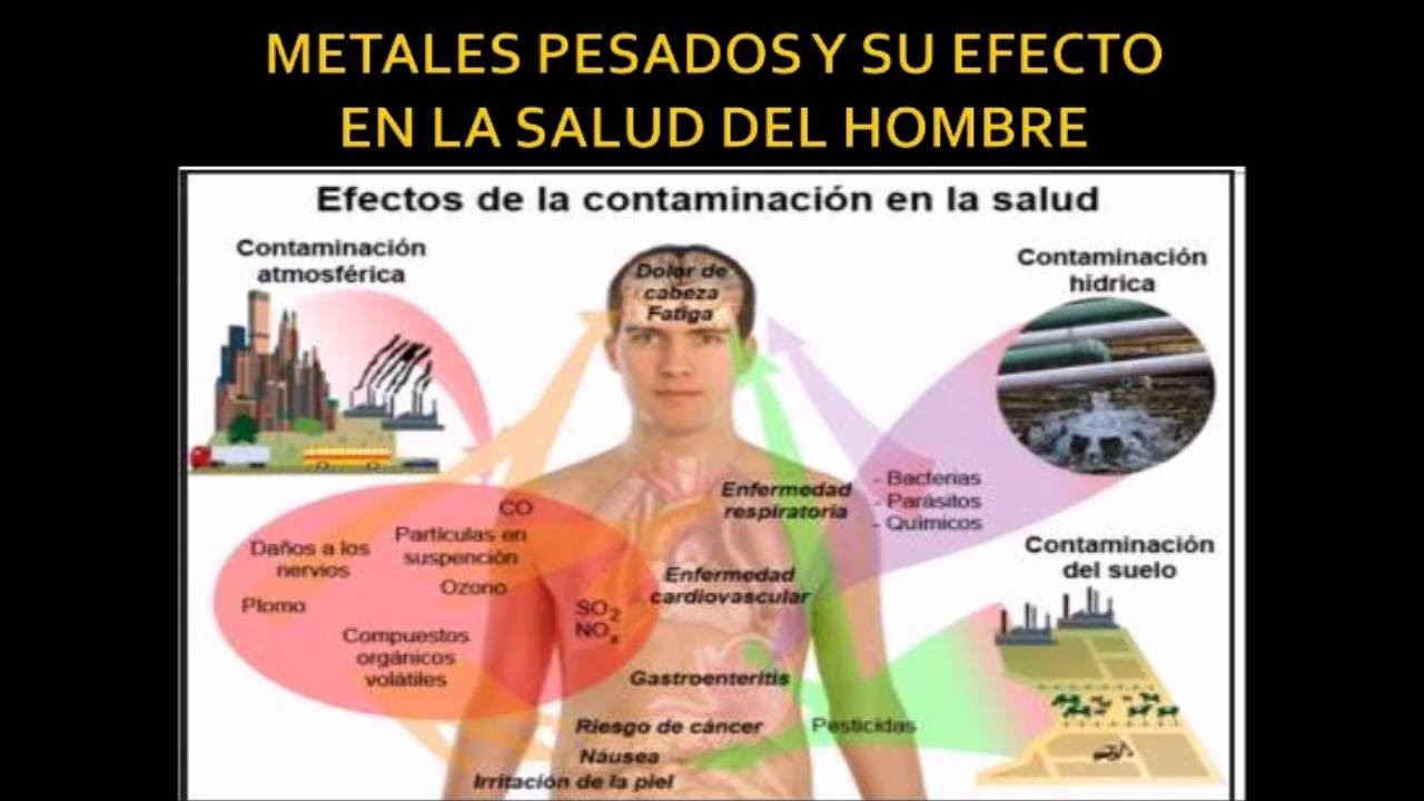 Acrobacia Libro Guinness de récord mundial ideología metales pesados