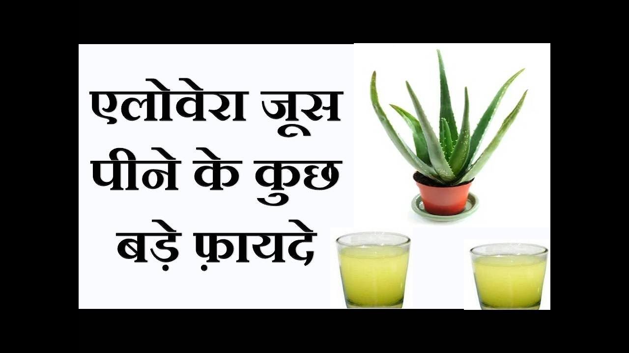 Aloe Vera Juice Ke Fayde Benefits Of Aloe Vera Health & Wealth Tips