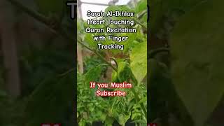 Surah Al-Ikhlas: Heart Touching Quran Recitation with Finger Tracking #love #qstech #qwake #qlab