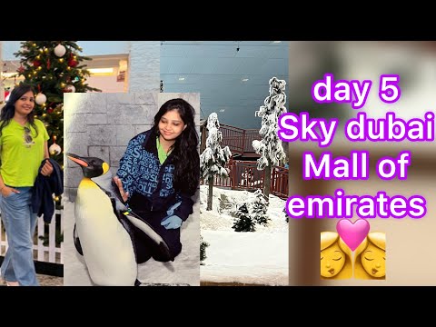 Ski Dubai  and  Mall of emirates shopping 5th day of Dubai