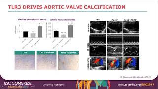01_ESC 2017 highlights on Basic Science