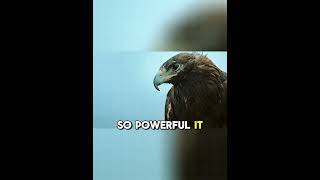 The Golden Eagle is the kink of the sky.