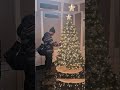 I took a picture in front of every building that had a tree up or at least the ones that allow me to
