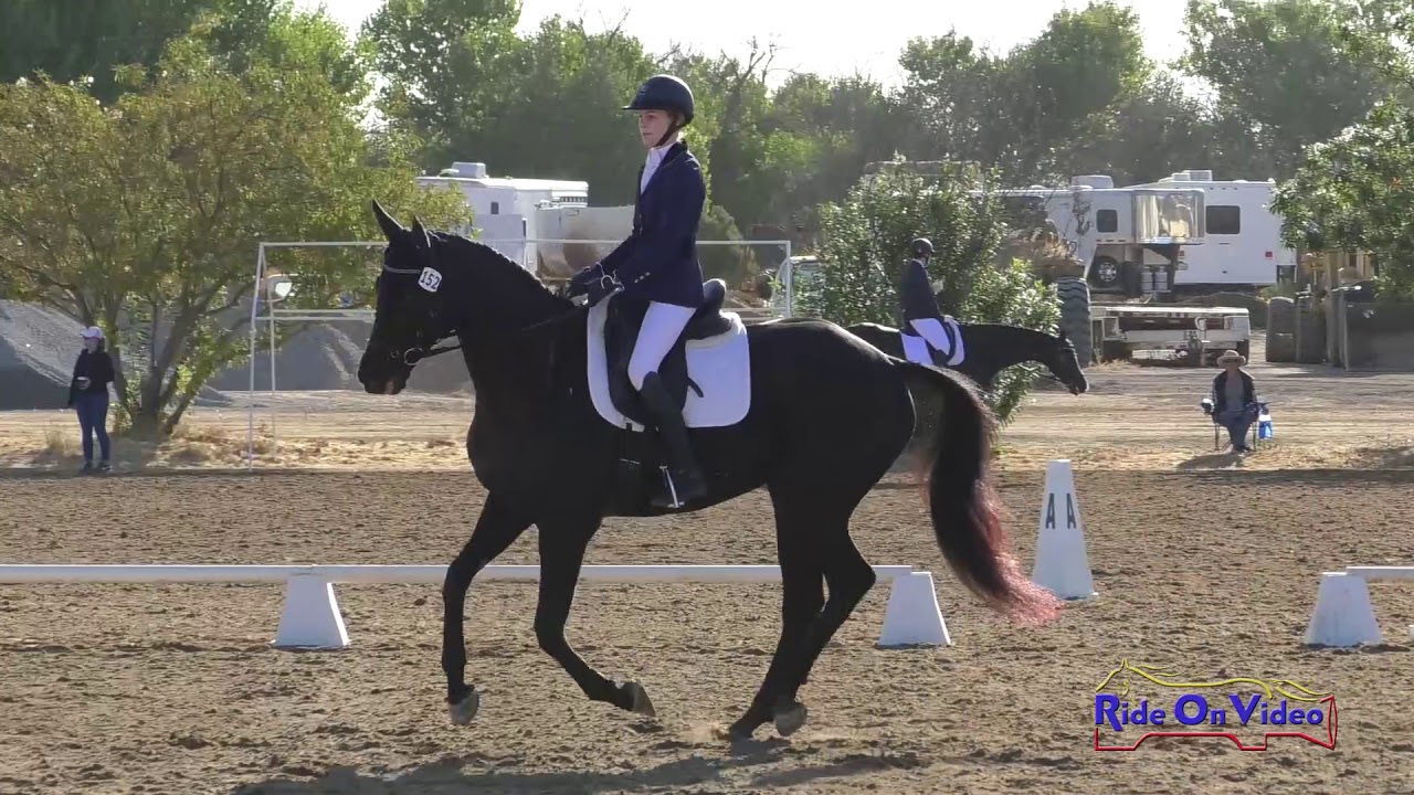horseshoe bend 152D Maxelle Phillips on Dark Knight Royale Open Training Dressage Twin Rivers Ranch Sept. 2019