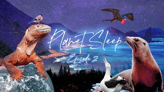 Sunset Over Galápagos Islands Relaxing Sleep Story, Soothing Music & Nature Sounds - Planet Sleep #2