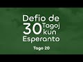 20. Kiom da tempo vi investis por atingi vian nunan nivelon de Esperanto?