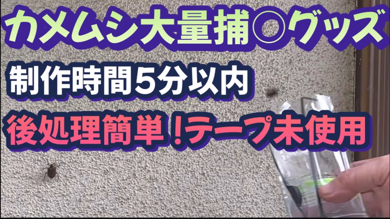 緊急動画】家庭菜園の大敵悪臭の王者カメムシ大量発生！激安、短時間で