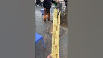 Mang mía từ Lào Cai dến Hà Nội | Will in Vietnam | #Shorts