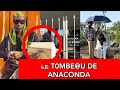 Affaire du t0mbeu de anaconda sortezzz ohh