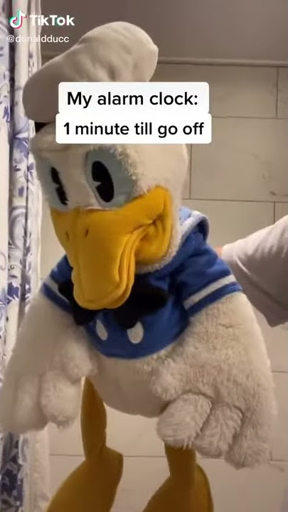 Donald When He Sleeps At School (A Funny TikTok Video By DonaldDucc)