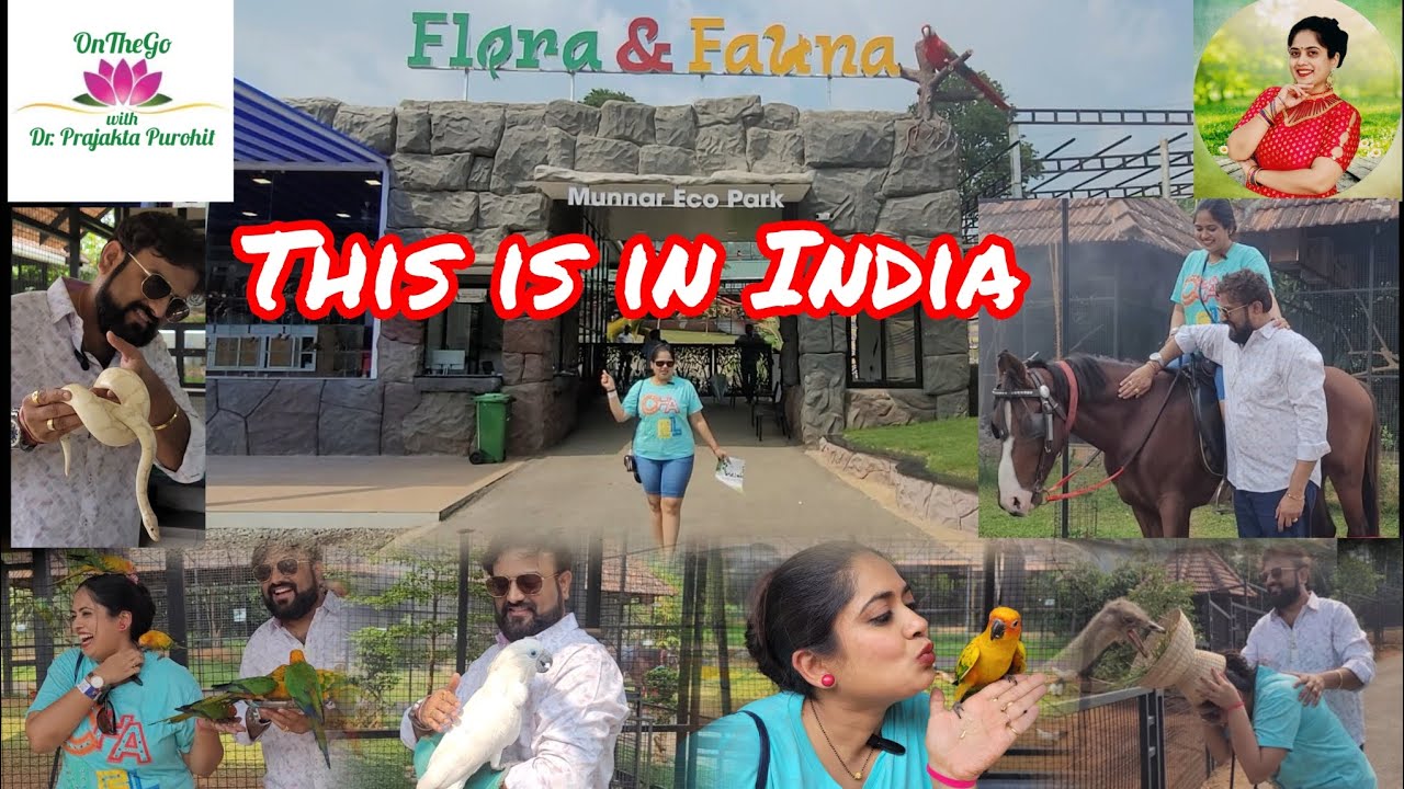 Exploring Flora & Fauna Eco Park, Munnar - A Hidden Paradise | Munnar Part 1 | मुन्नार भाग १