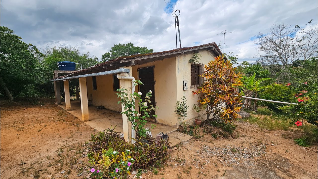 CHÁCARA INCRÍVEL EM CARUARU PE! MUITAS FRUTAS, JABUTICABAS E ÁGUA POR APENAS 80 MIL!