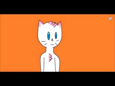 immortal cat