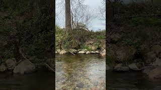 Rahatlamak huzur ve sessizlik #doğa #dere #kuş #balık